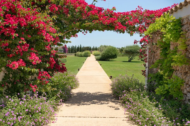 Gardens