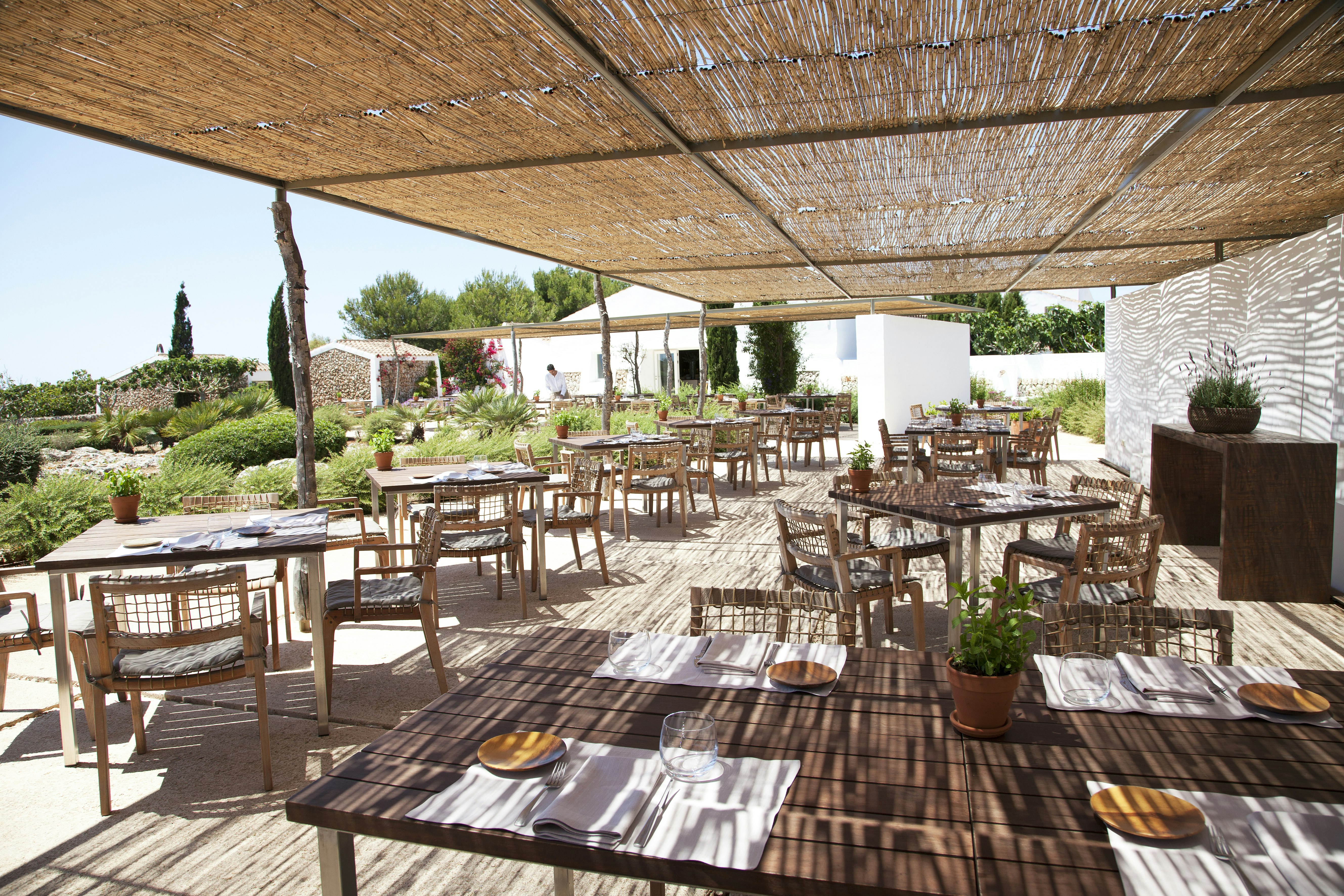 Restaurant Terrace
