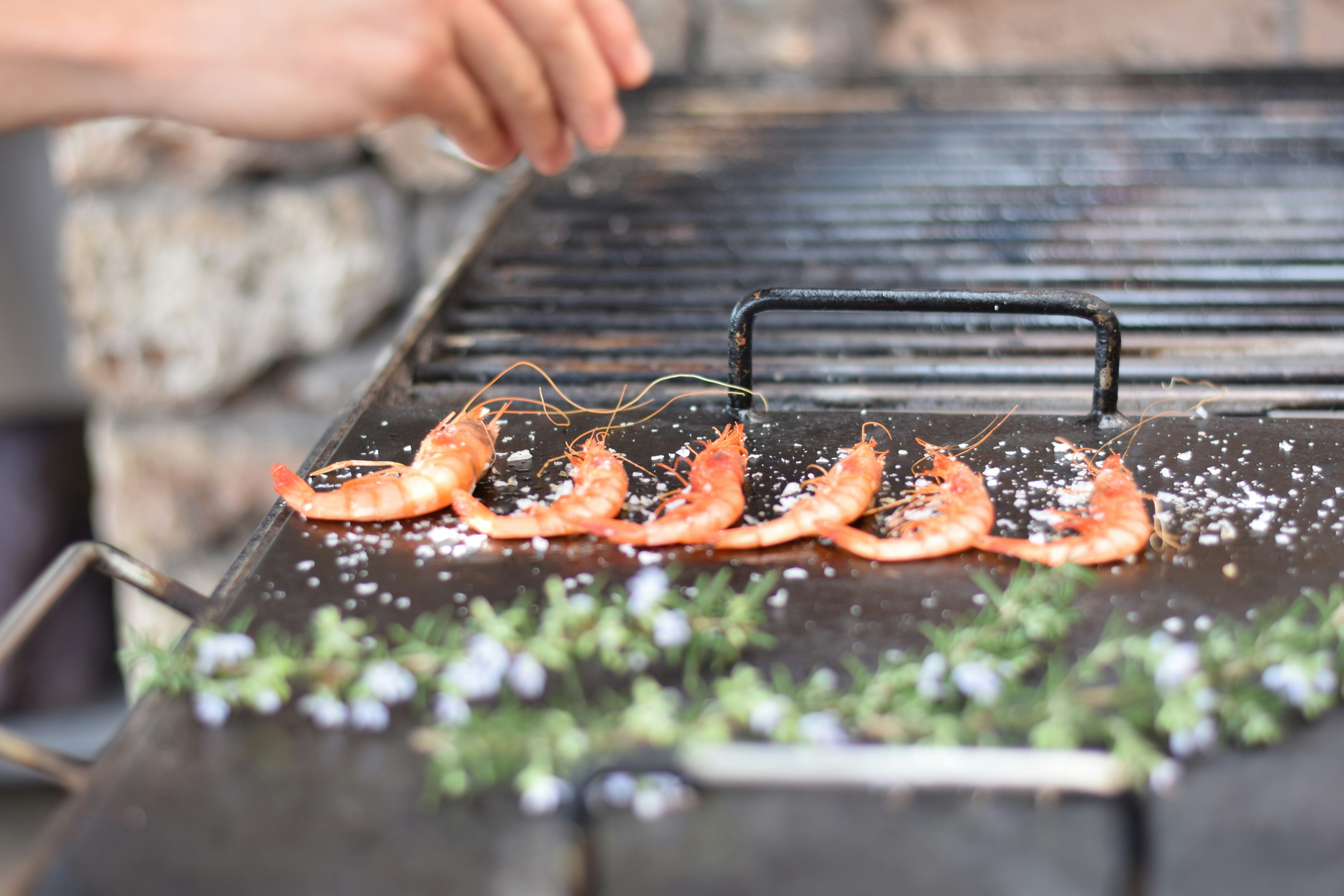 Restaurante Torralbenc