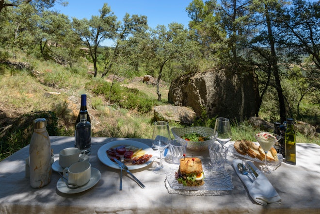 Picnic