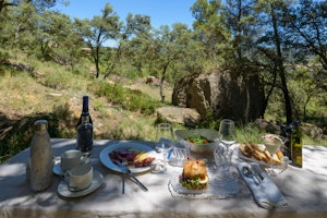 Picnic
