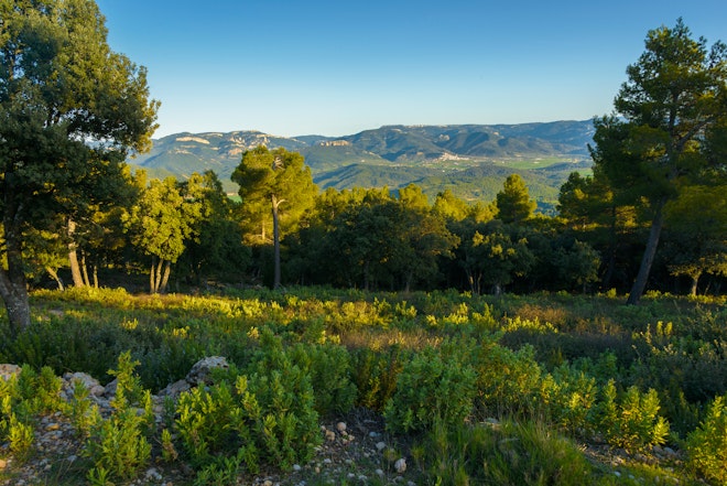 Matarra_a hiking