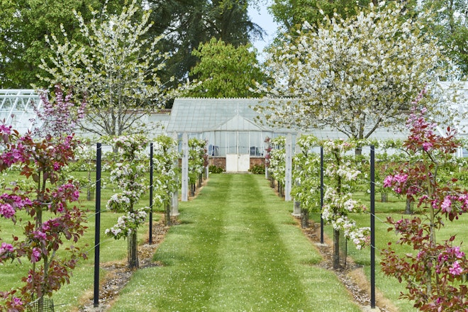 Green House