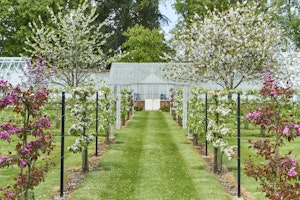 Green House