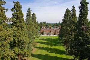 Vista