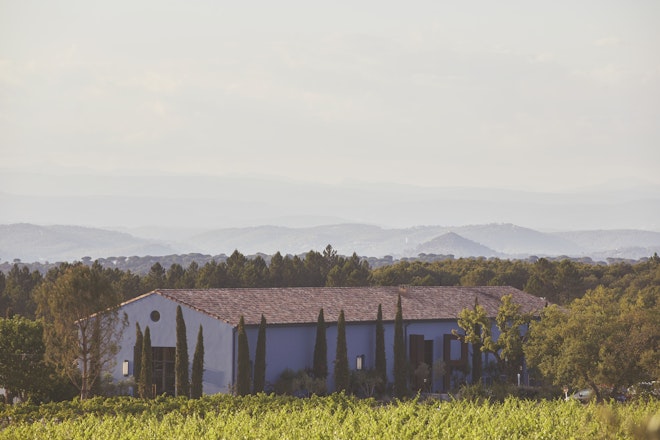 View from the Vines