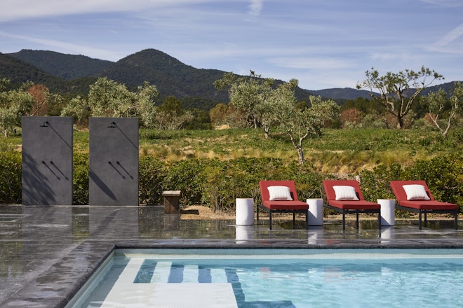 Swimming pool in the Vineyard