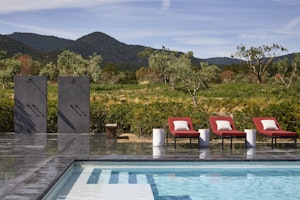 Swimming pool in the Vineyard