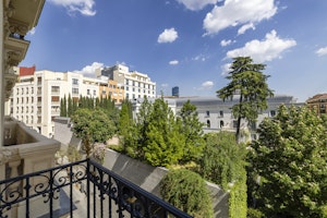 Palace View