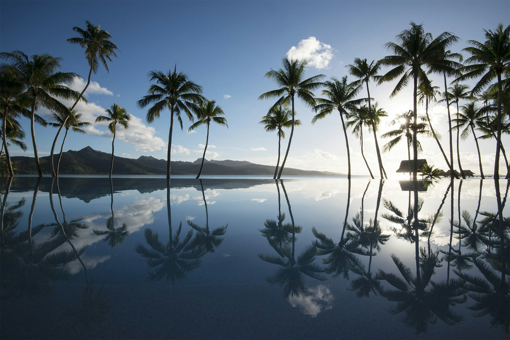 La Villa Royale - Swimming Pool