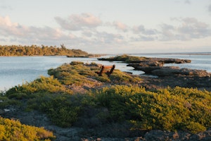 Vahine Private Island Exterior
