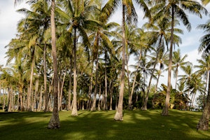 Vahine Private Island Exterior