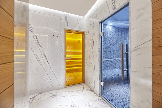 Spa Sauna Steam Room