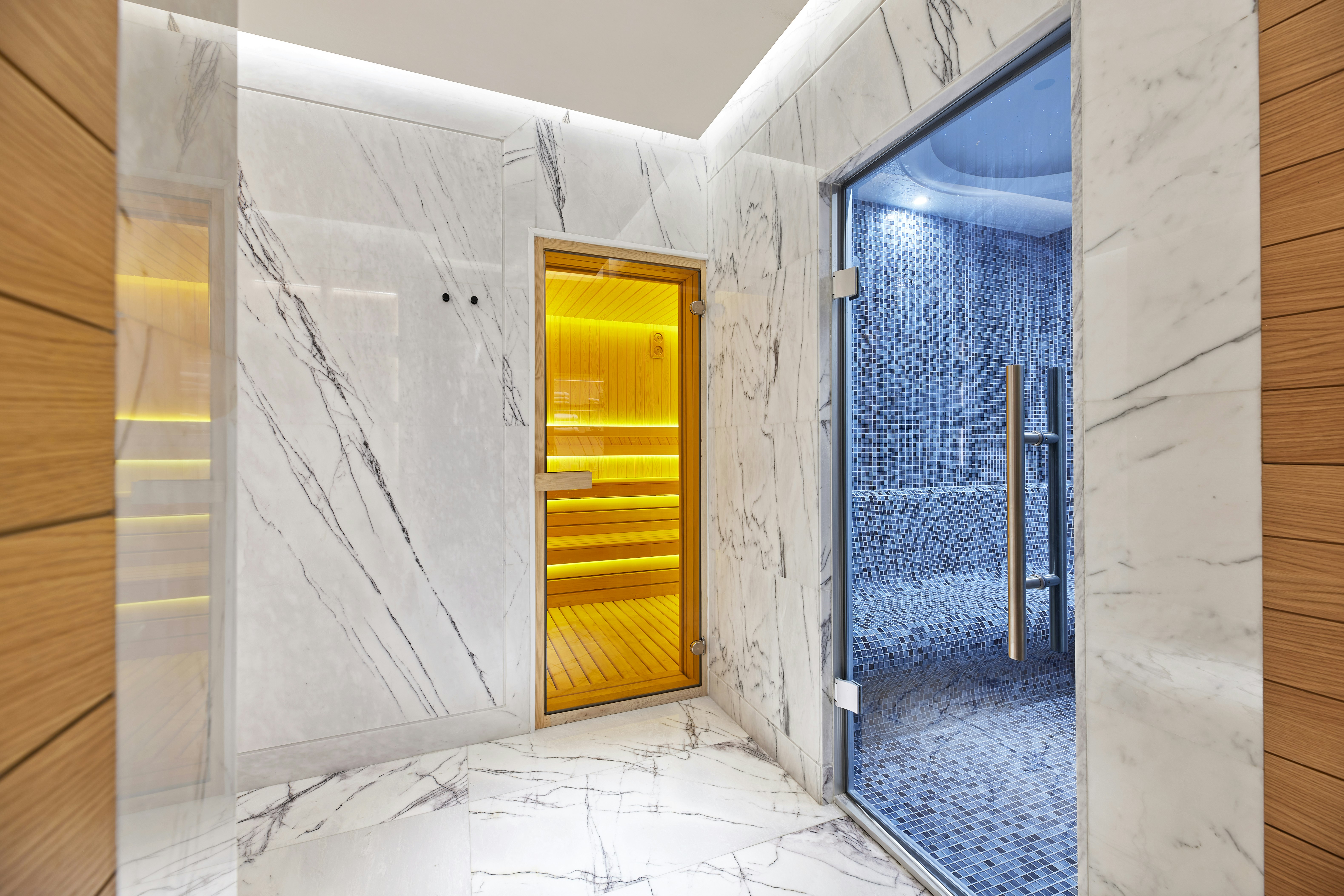 Spa Sauna Steam Room