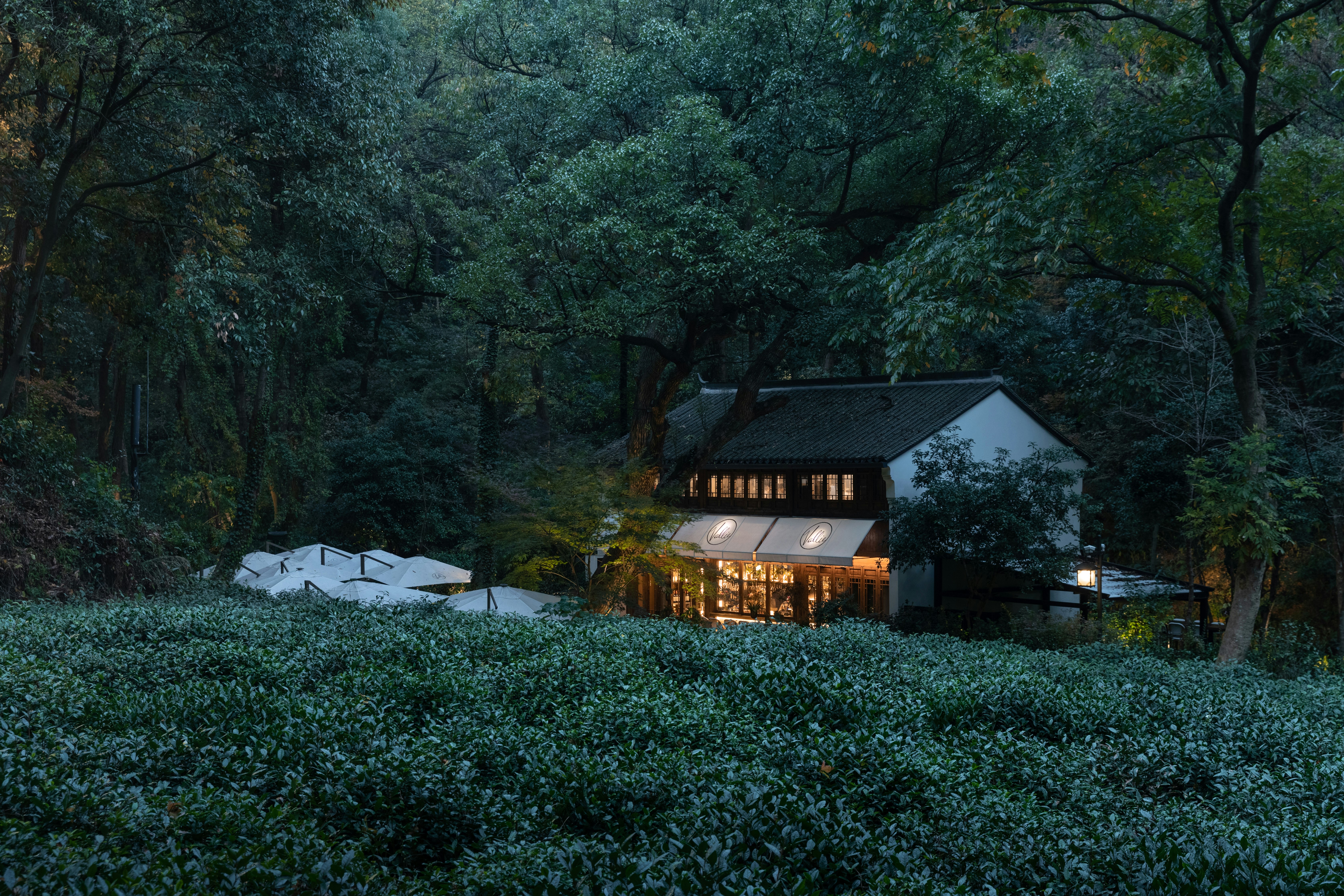 SHIJIU Gastro Lounge Spring