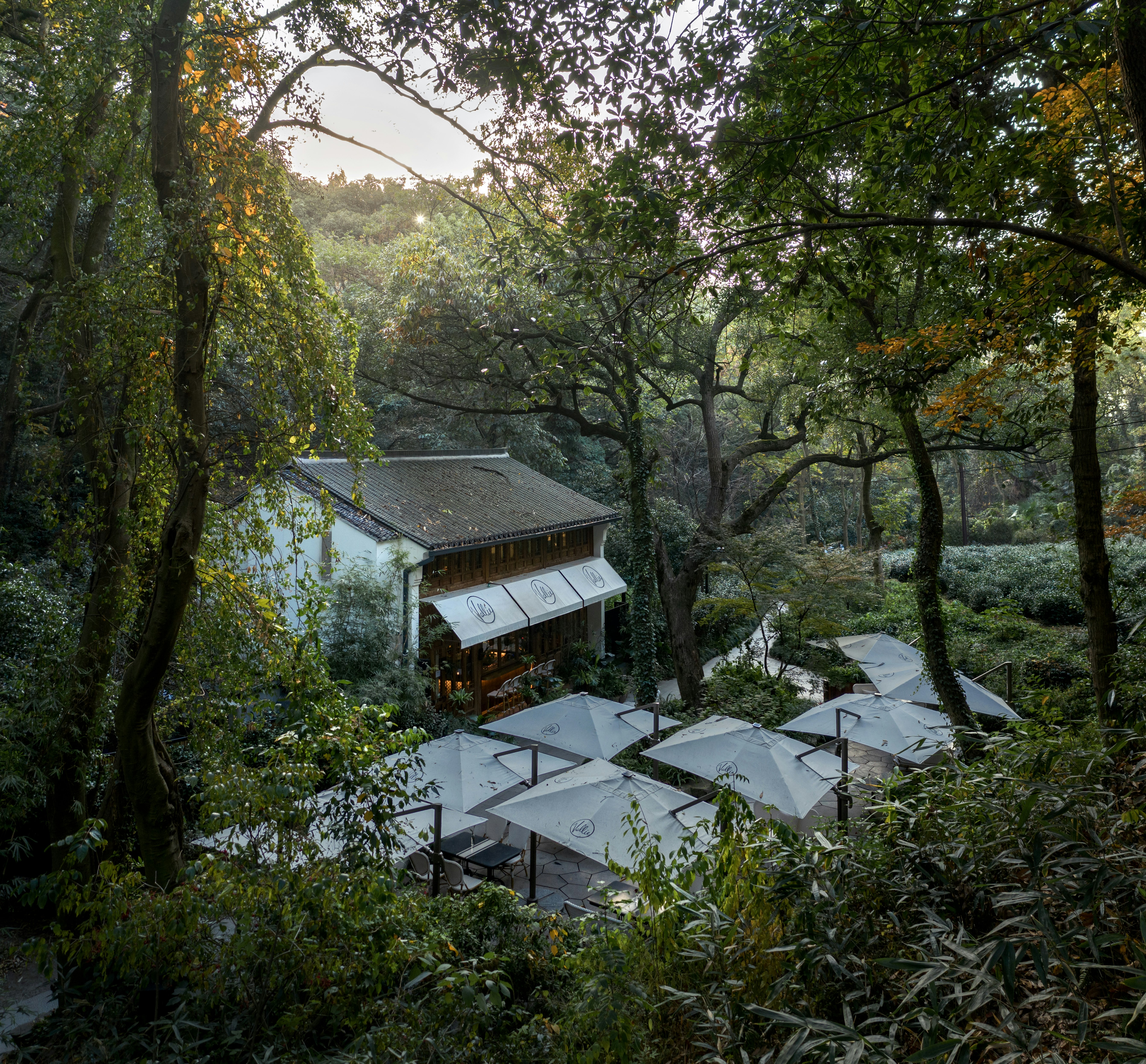 SHIJIU Gastro Lounge