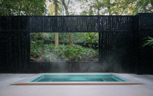 Elegant Courtyard Room