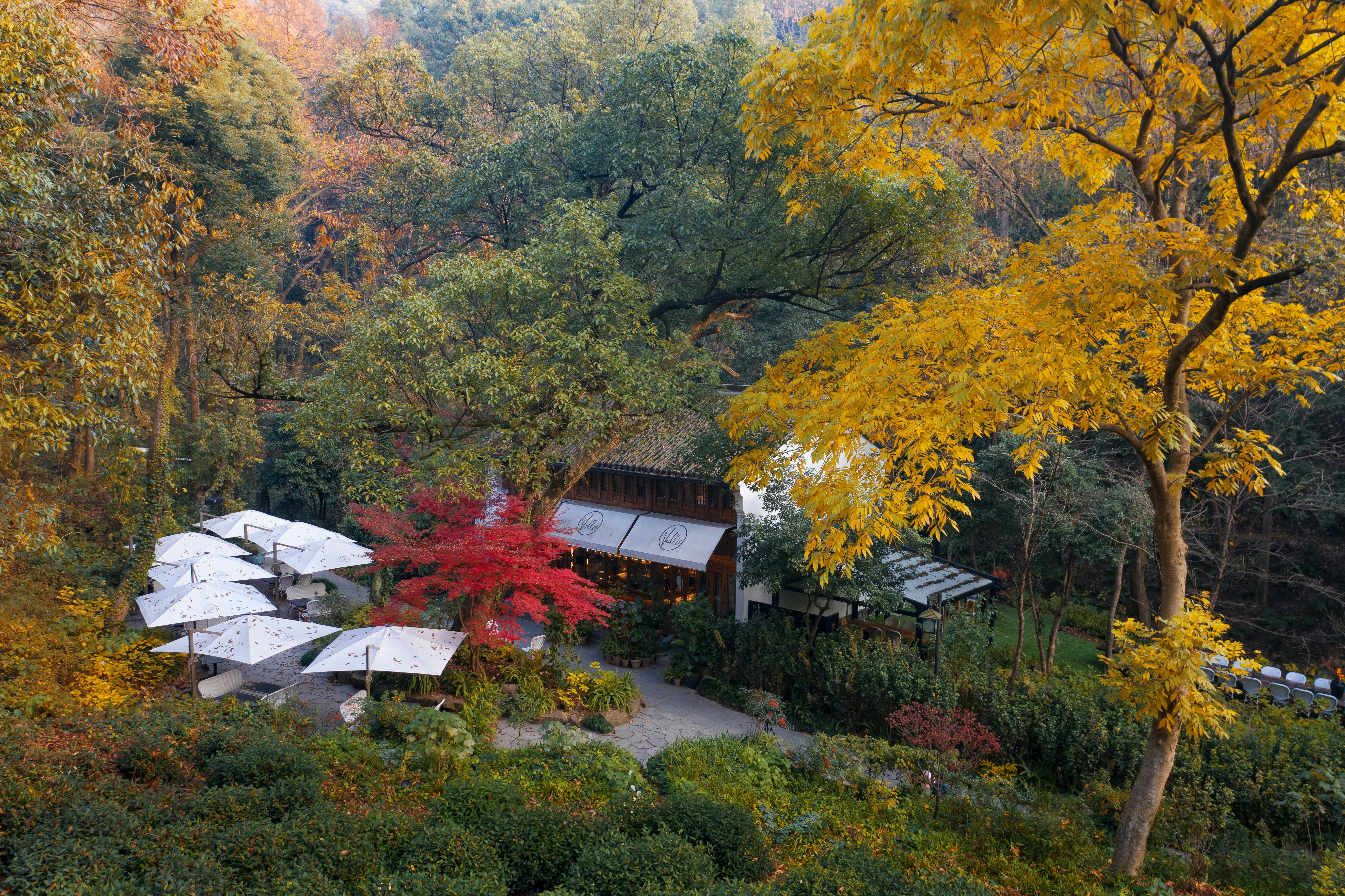 SHIJIU Gastro Lounge Autumn