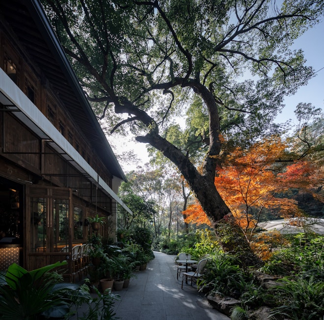 SHIJIU Gastro Lounge