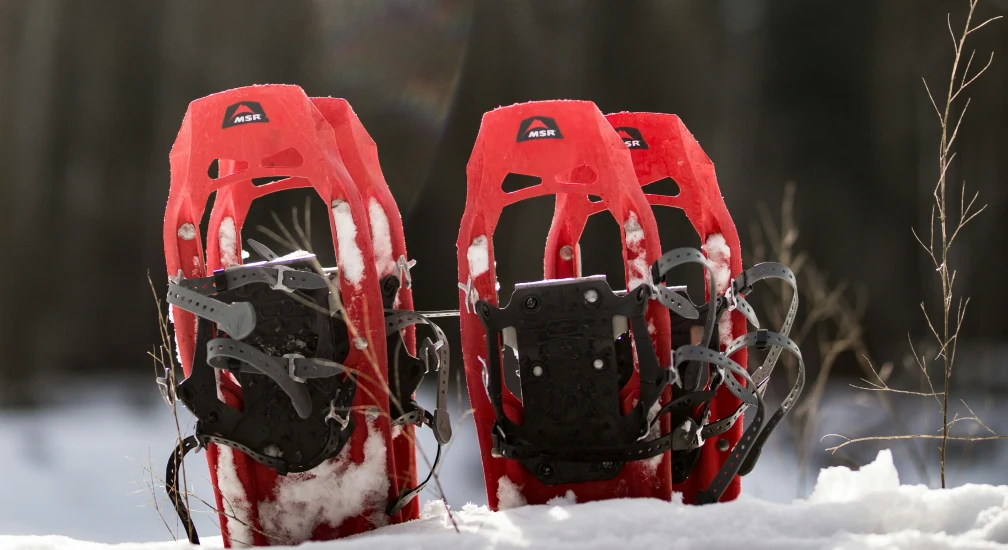 Snowshoeing