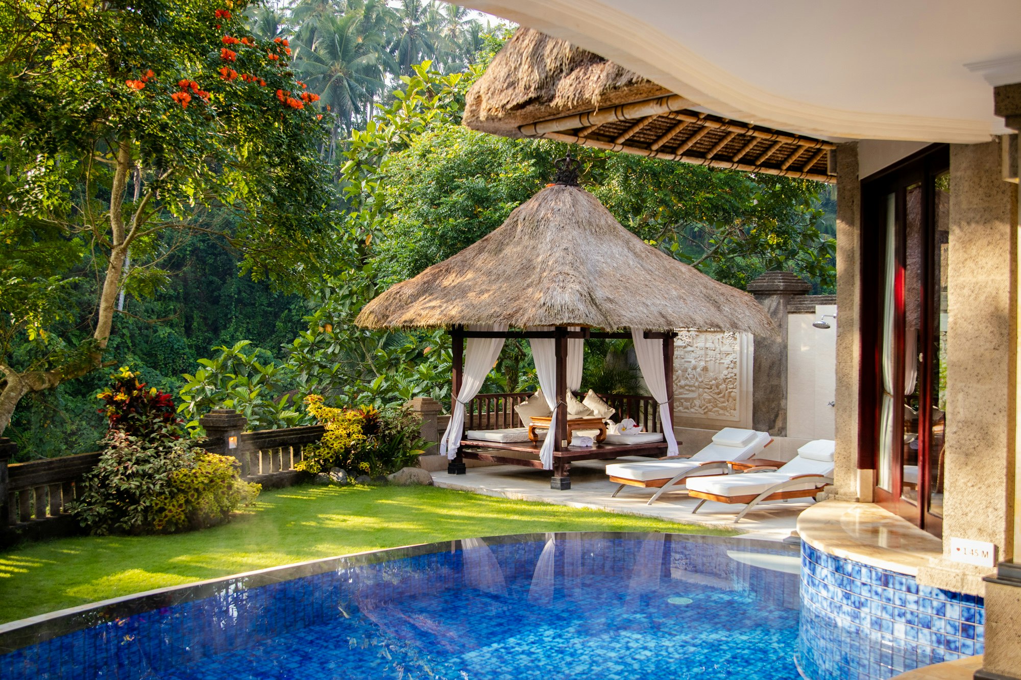 Viceroy Villa - Pool