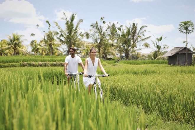 Rice Paddy Trek