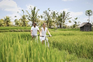 Rice Paddy Trek