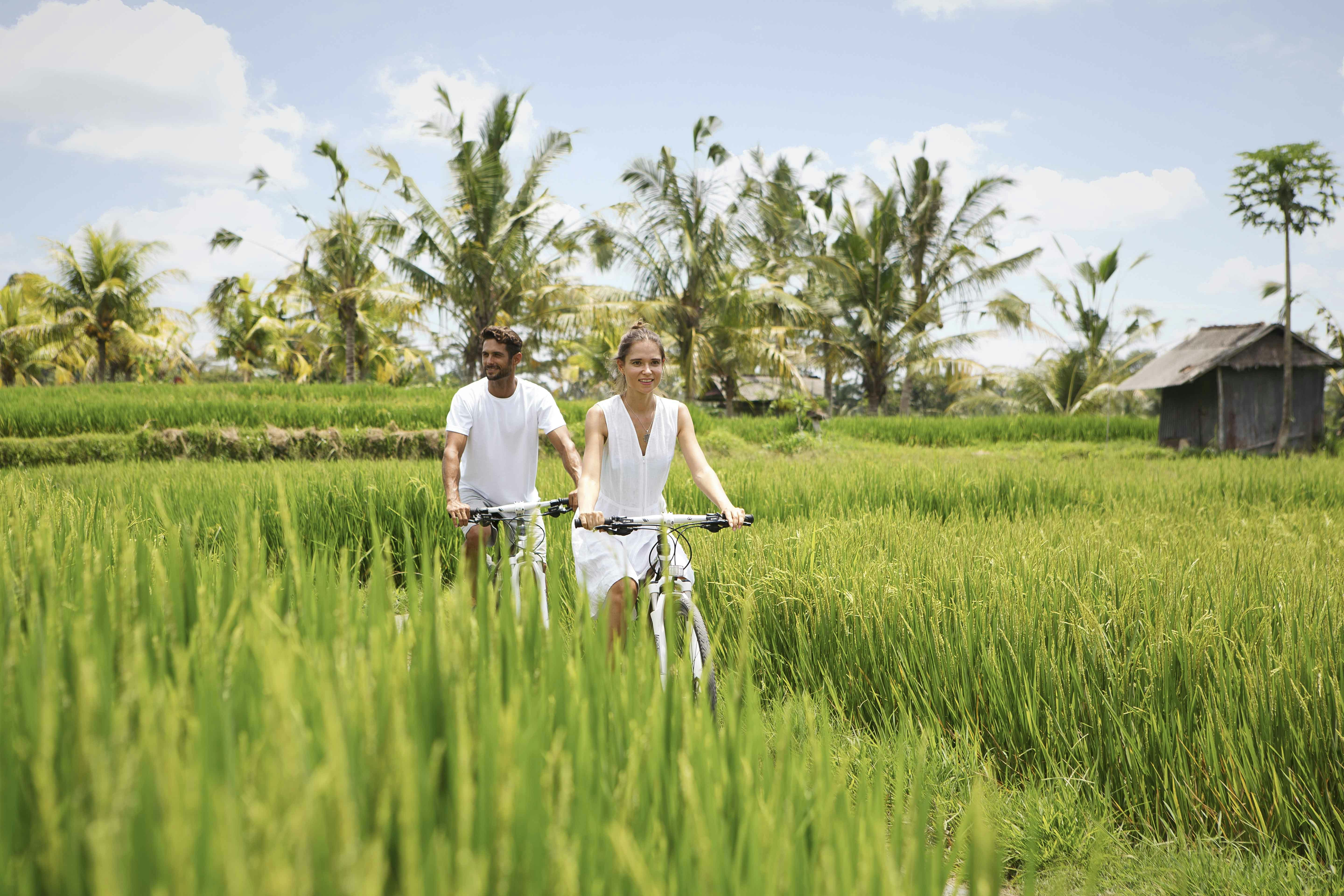 Rice Paddy Trek