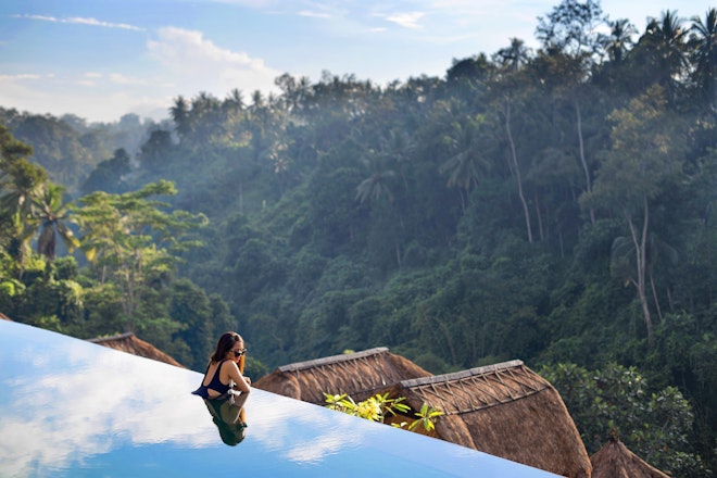 Jungle Views