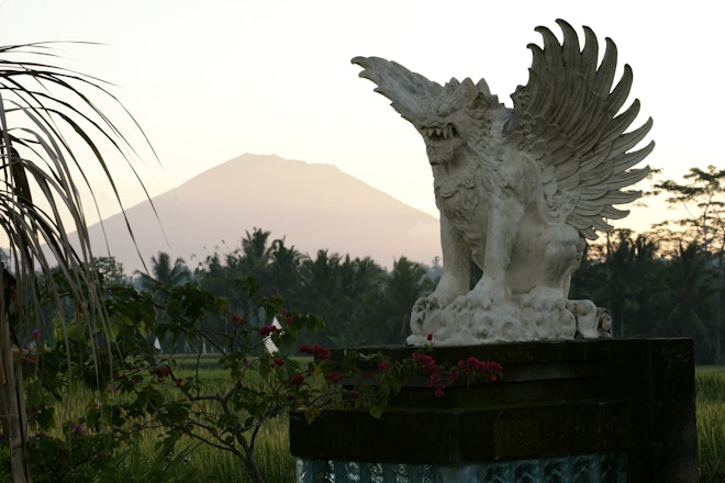 Viceroy Entrance