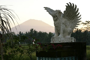 Viceroy Entrance