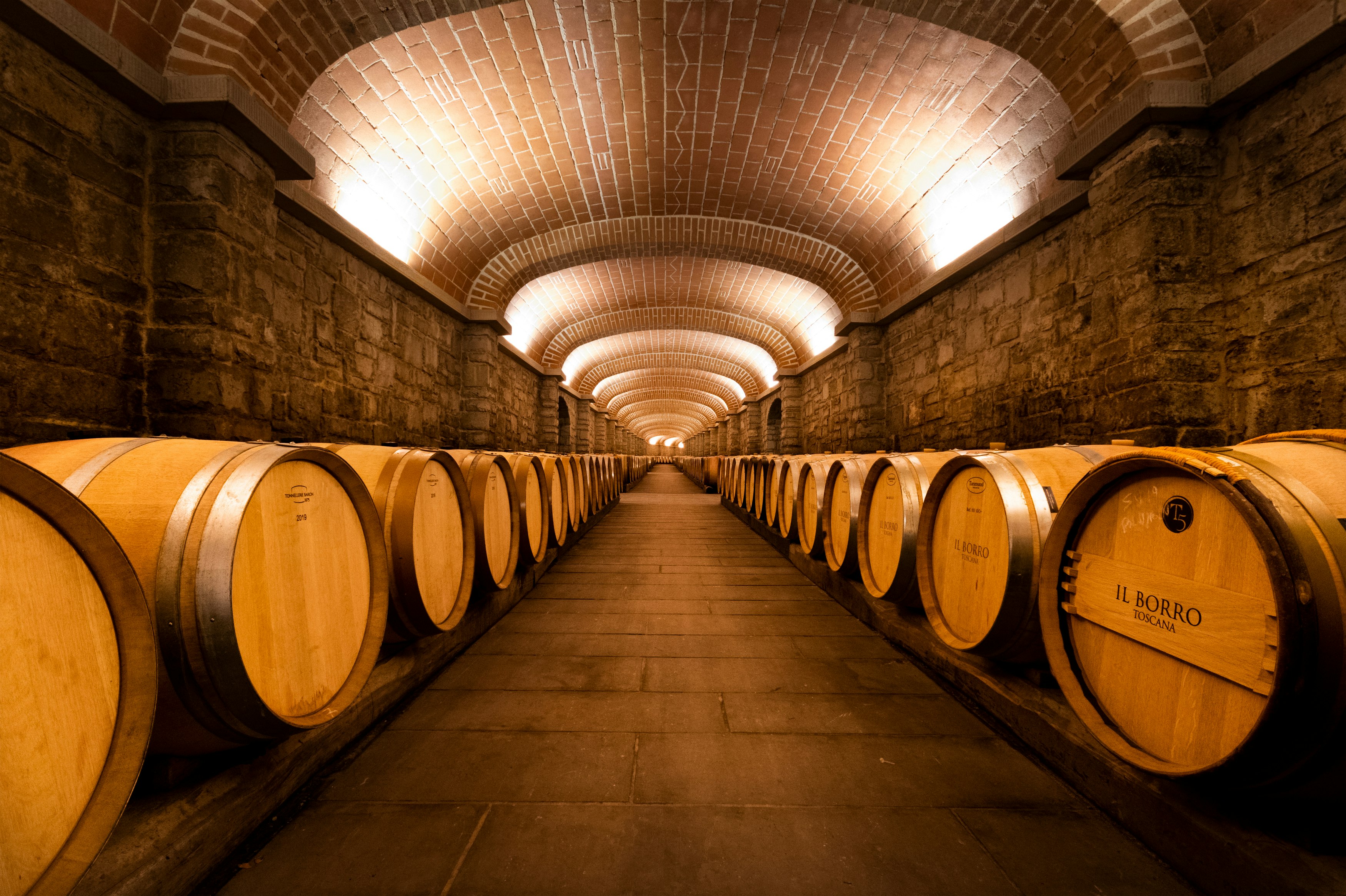 Il Borro Cellar - Wine Tasting