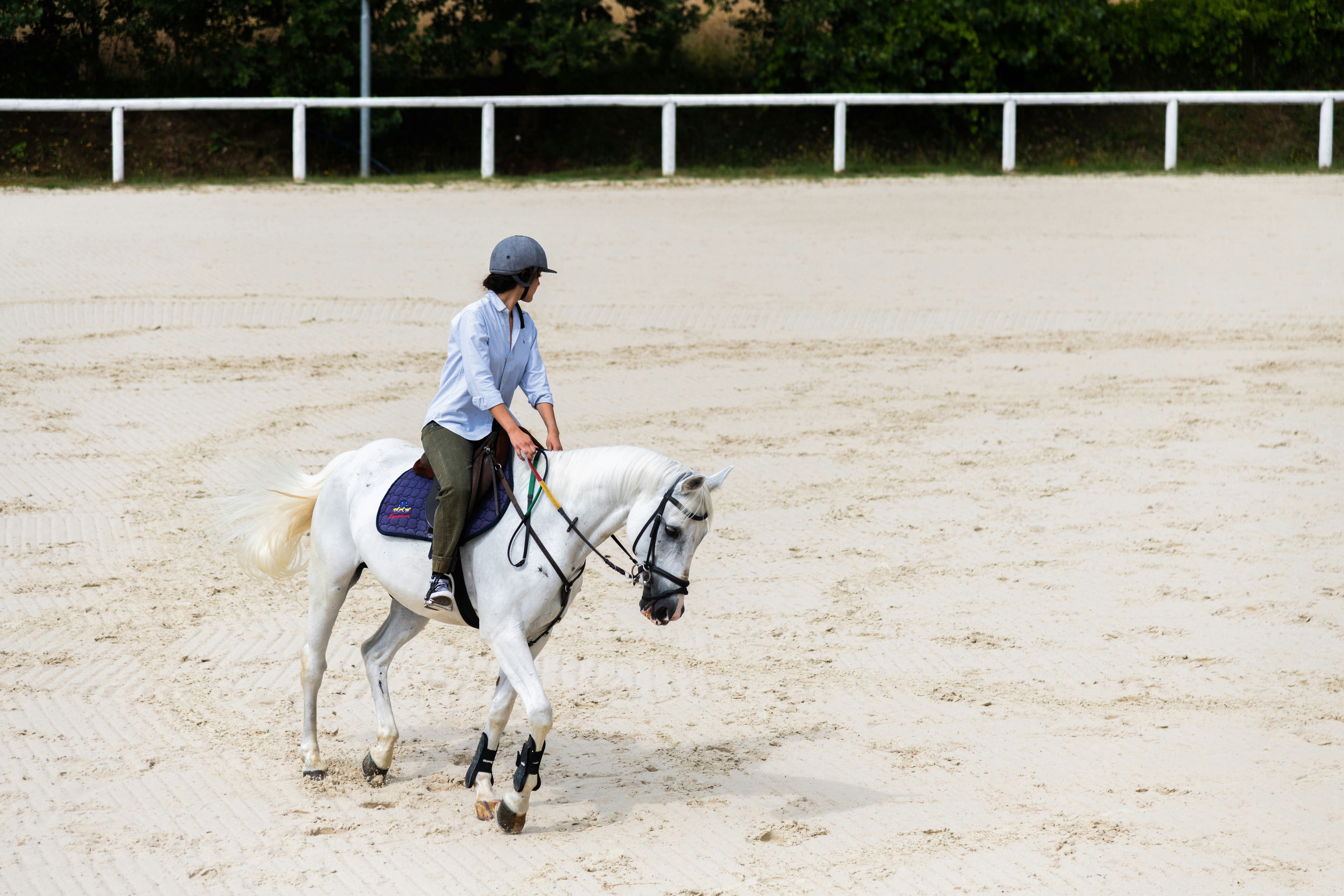 Horseback Riding Viesca