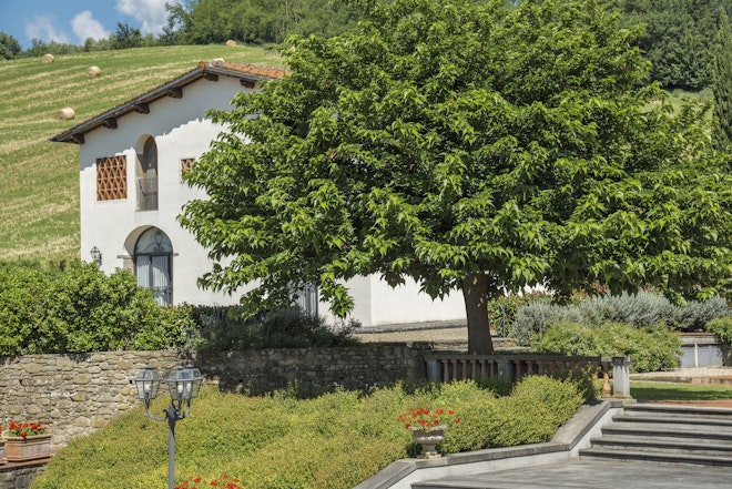 Family Roseto - Exterior