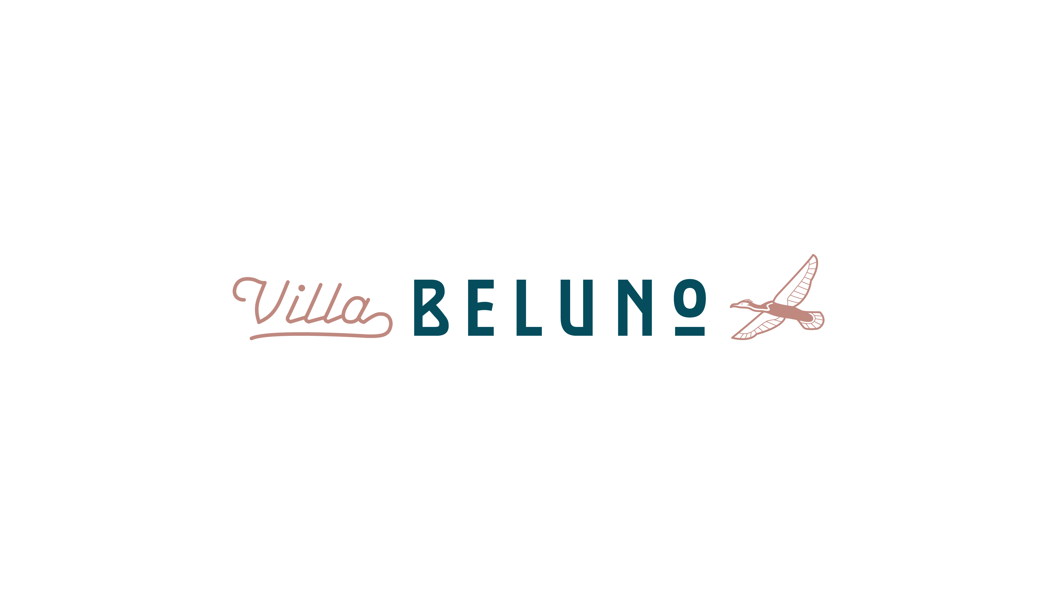 VB Logotype