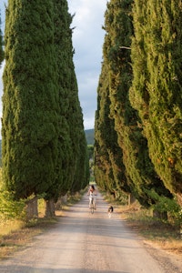 Entrance Drive