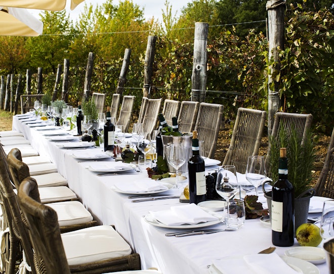 Lunch in the Vineyard