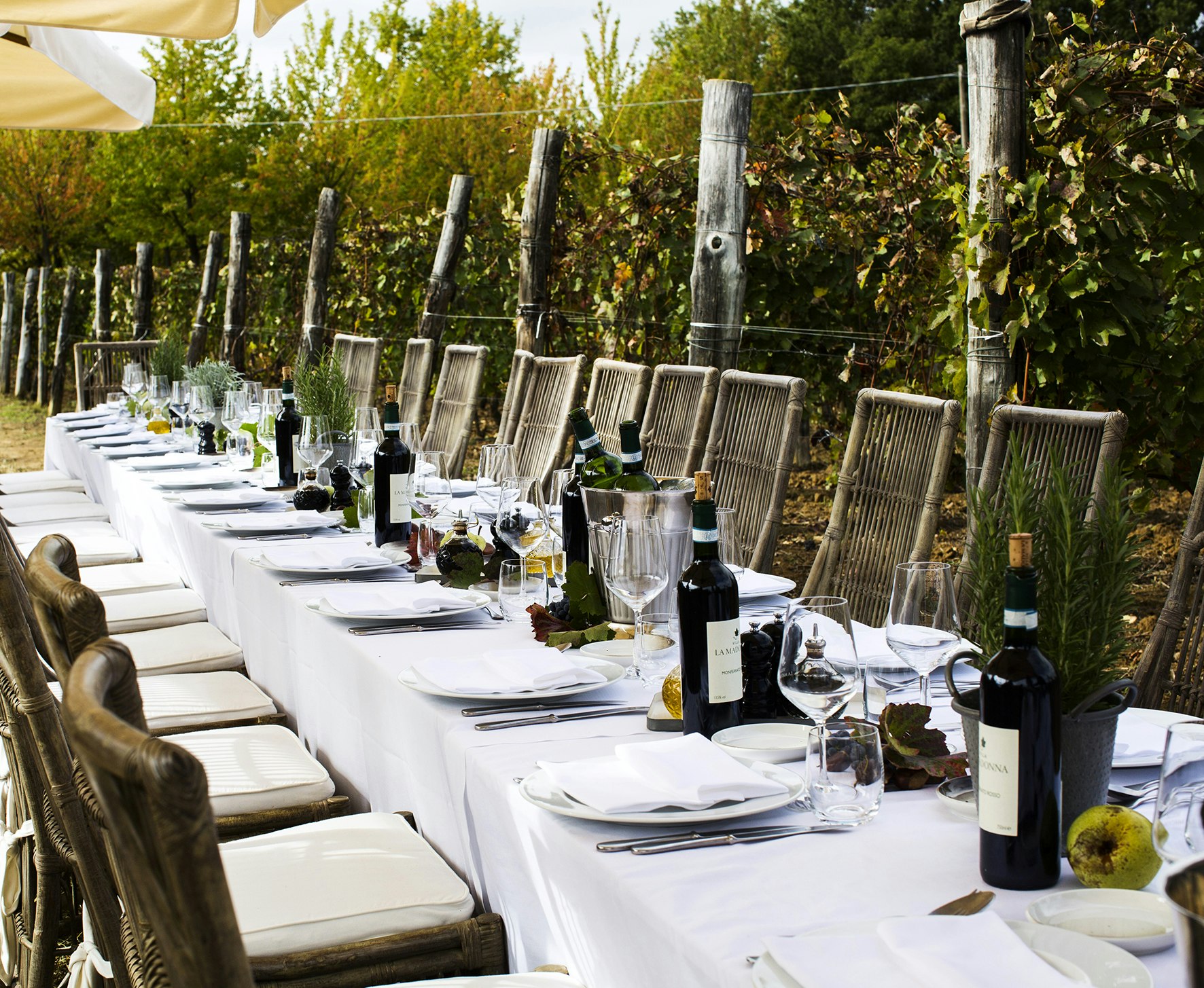 Lunch in the Vineyard