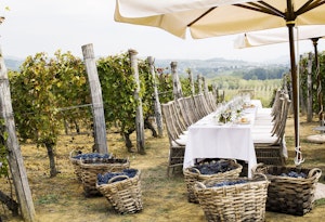 Table in the Vineyard