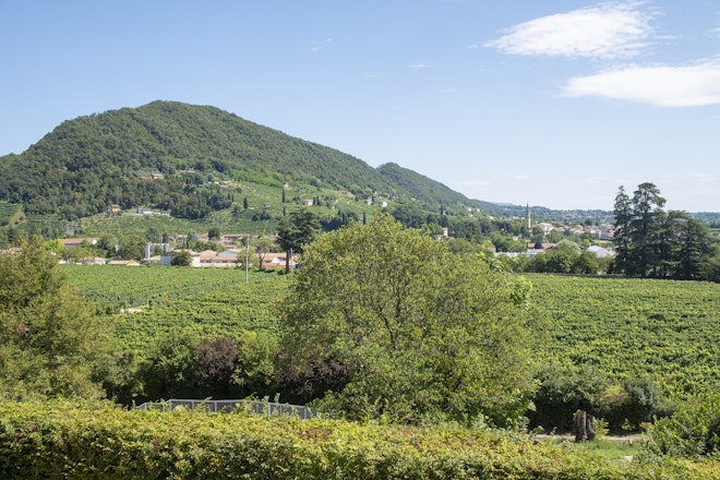 Prosecco Hills Landscape