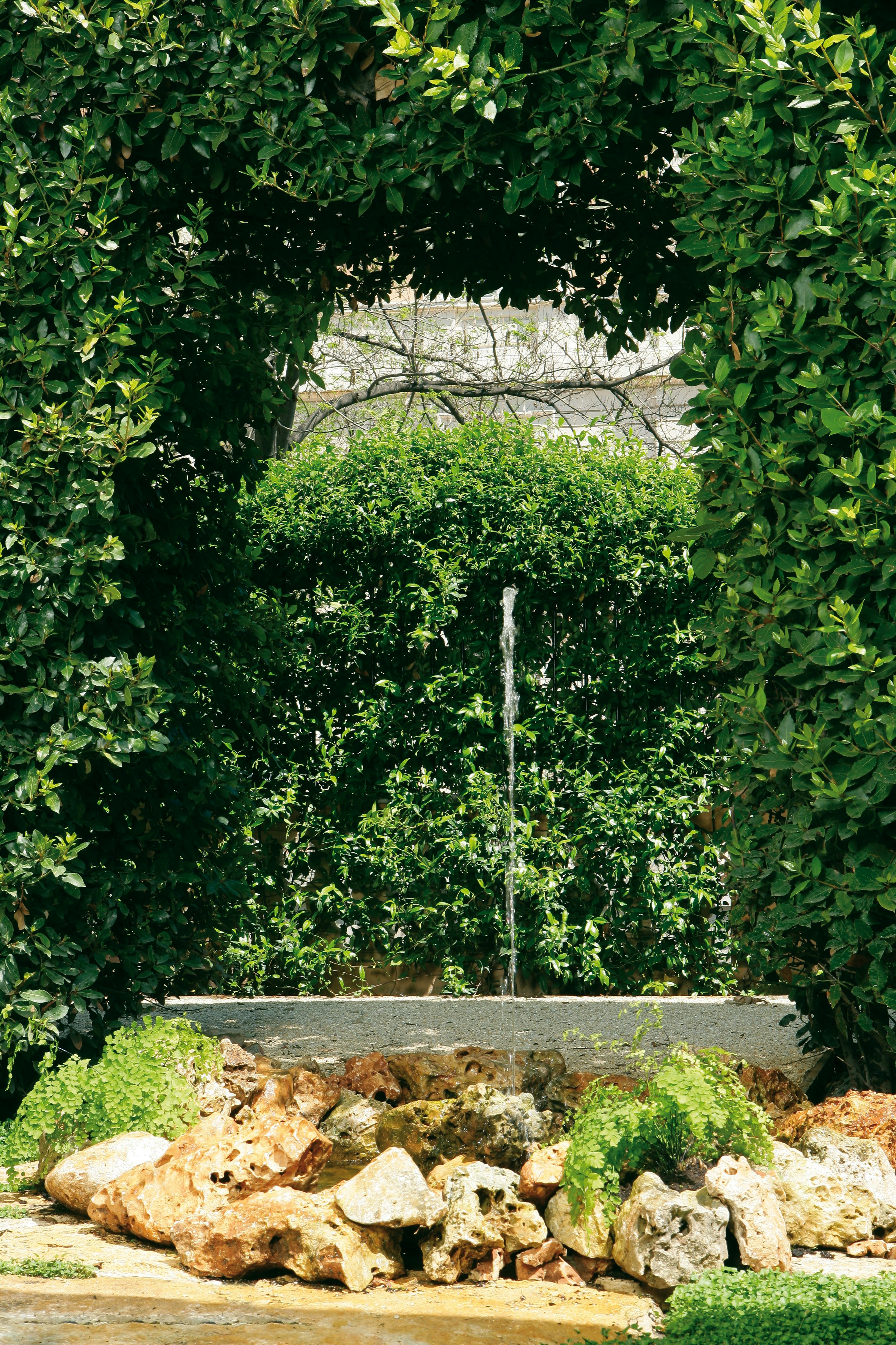 Villa Spalletti Trivelli - Garden