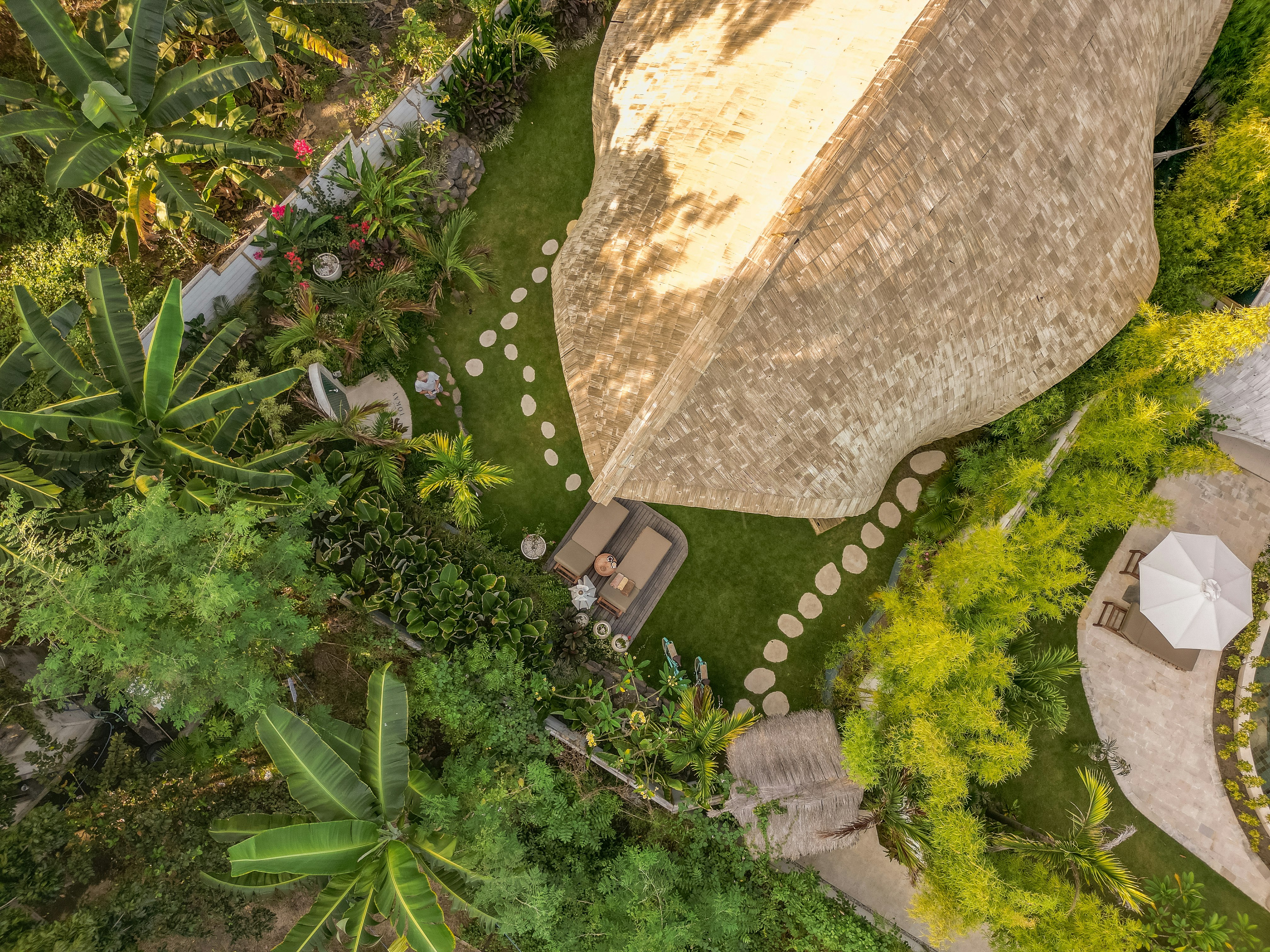 The Leaf - Aerial View