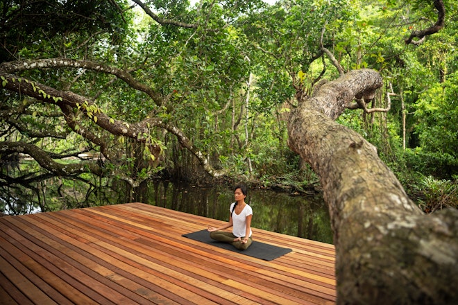 Activities - Yoga