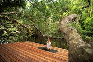 Activities - Yoga