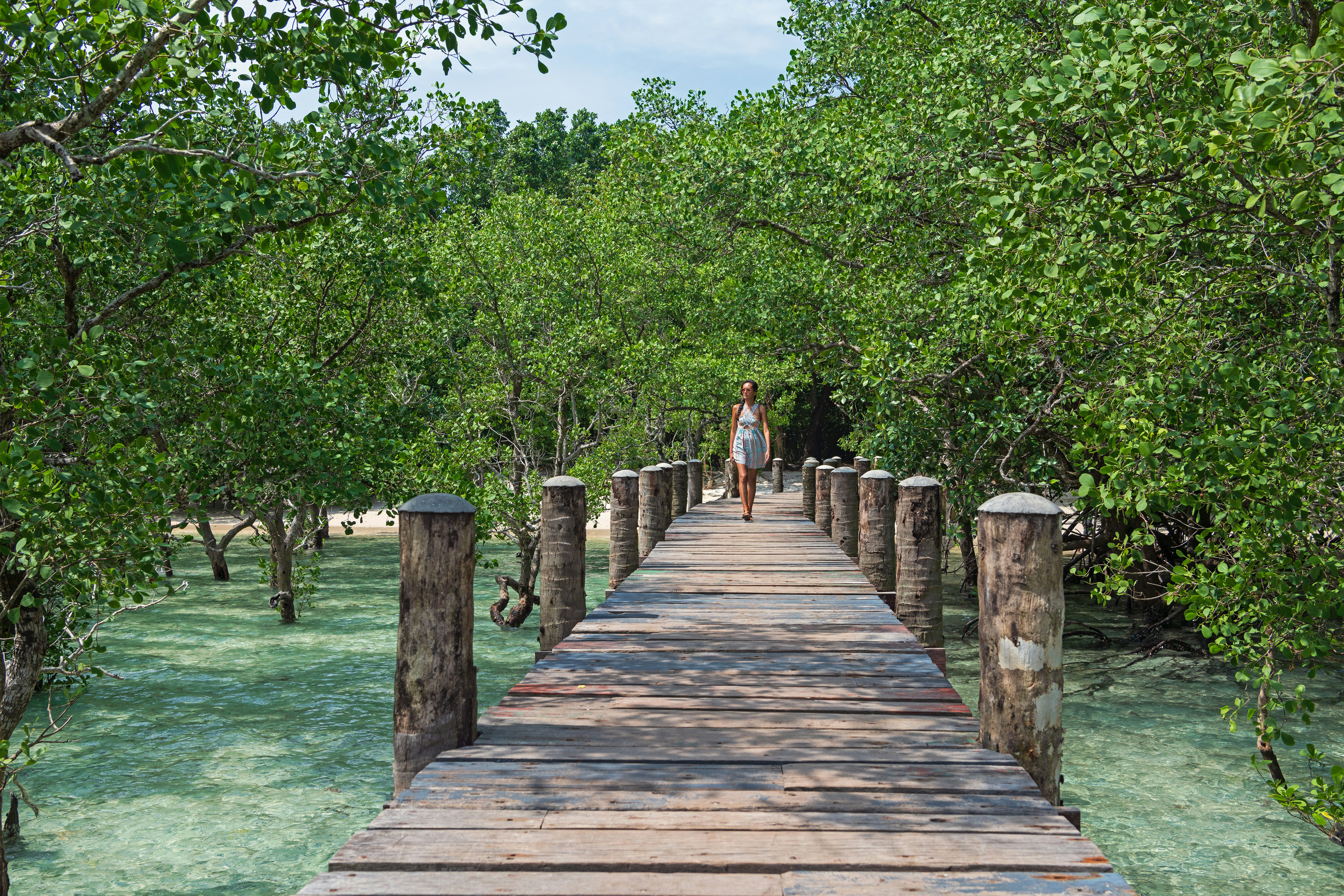 Beach Walkway