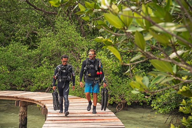 Scuba Diving