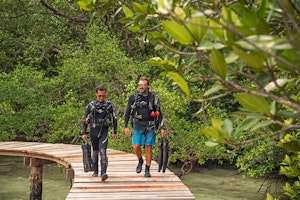 Scuba Diving