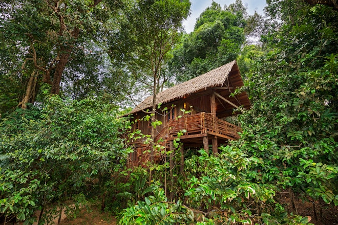 Treetop Villa Exterior