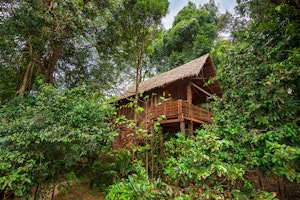 Treetop Villa Exterior