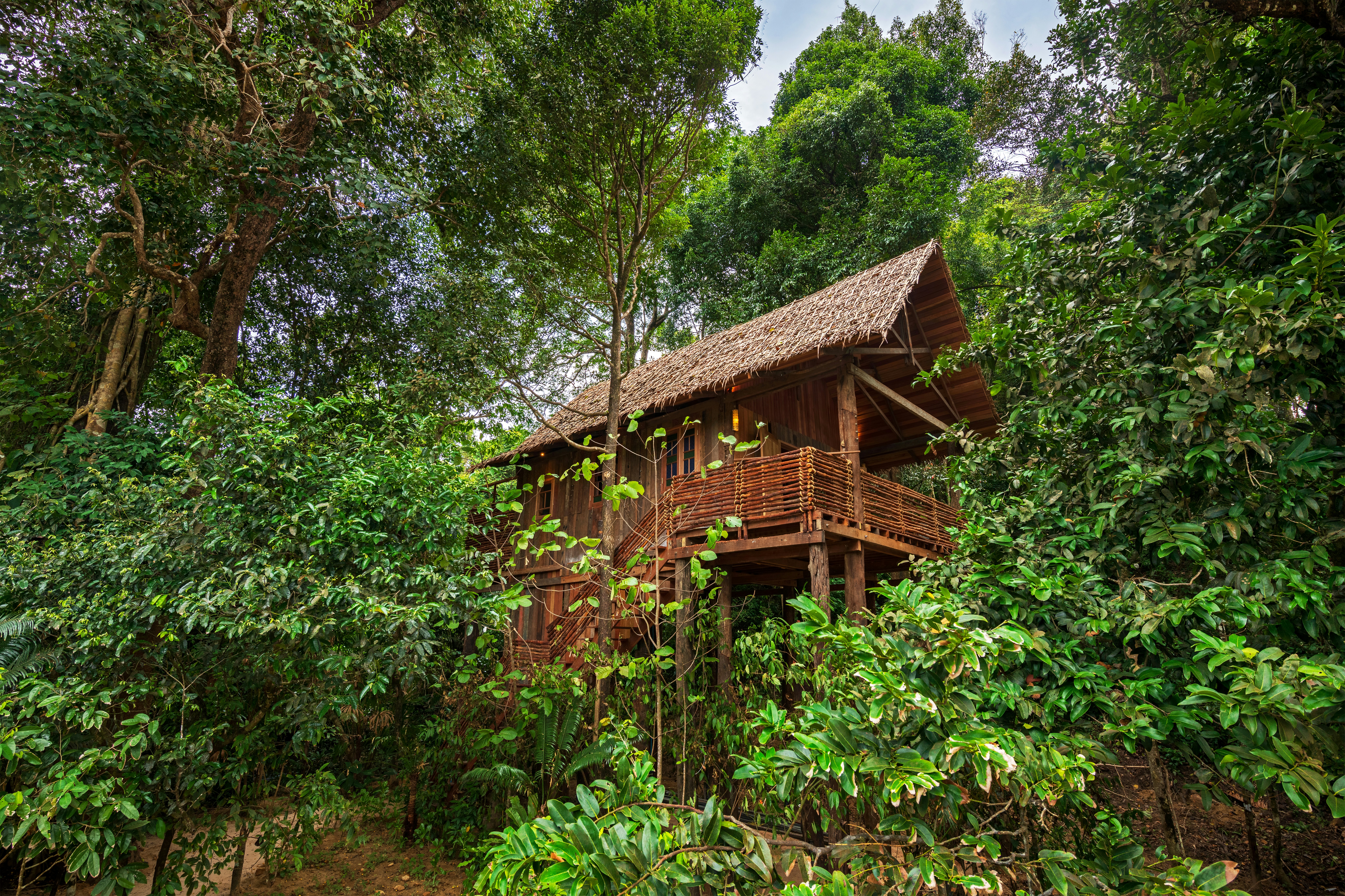 Treetop Villa Exterior